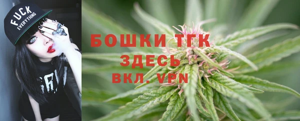 амфетамин Новодвинск