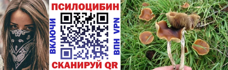 Купить  Юрьев-Польский  Псилоцибиновые грибы мицелий 